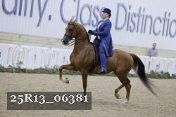 25R13_06381 thumbnail