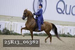 25R13_06382 thumbnail