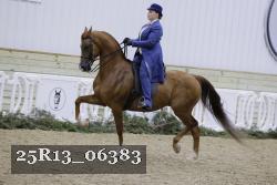 25R13_06383 thumbnail