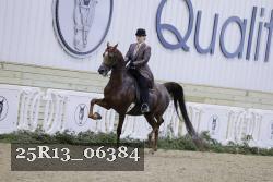 25R13_06384 thumbnail
