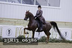 25R13_06386 thumbnail