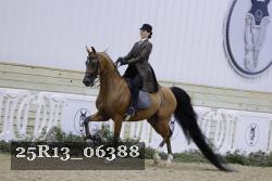 25R13_06388 thumbnail