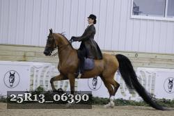 25R13_06390 thumbnail