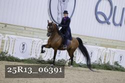25R13_06391 thumbnail