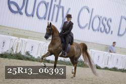 25R13_06393 thumbnail