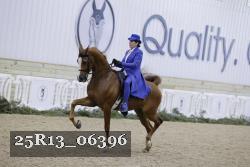 25R13_06396 thumbnail