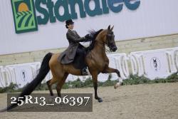 25R13_06397 thumbnail