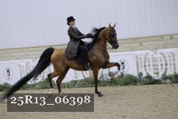 25R13_06398 thumbnail