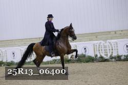 25R13_06400 thumbnail