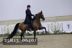 25R13_06401 thumbnail