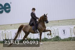 25R13_06403 thumbnail