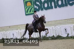 25R13_06405 thumbnail