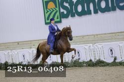 25R13_06408 thumbnail