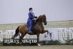 25R13_06410 thumbnail