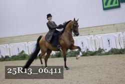25R13_06411 thumbnail