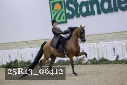 25R13_06412 thumbnail