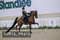 25R13_06413 thumbnail