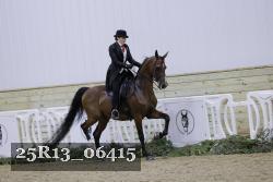 25R13_06415 thumbnail