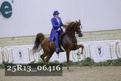 25R13_06416 thumbnail