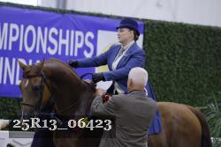 25R13_06423 thumbnail