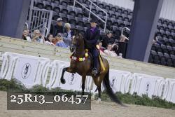 25R13_06457 thumbnail