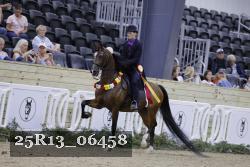 25R13_06458 thumbnail