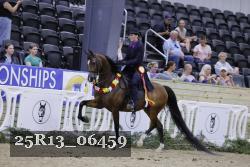 25R13_06459 thumbnail