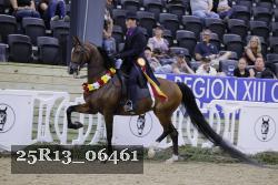 25R13_06461 thumbnail