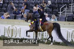 25R13_06464 thumbnail