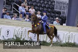 25R13_06466 thumbnail