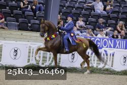 25R13_06469 thumbnail