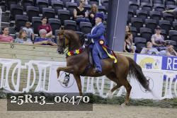 25R13_06470 thumbnail