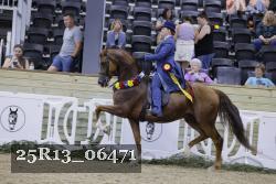 25R13_06471 thumbnail