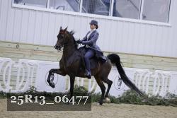 25R13_06477 thumbnail