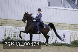 25R13_06478 thumbnail