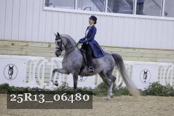 25R13_06480 thumbnail