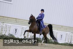25R13_06487 thumbnail