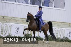 25R13_06488 thumbnail