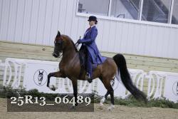 25R13_06489 thumbnail