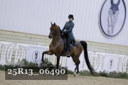 25R13_06490 thumbnail