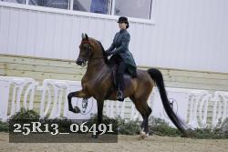 25R13_06491 thumbnail