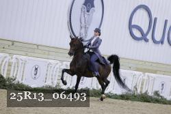 25R13_06493 thumbnail
