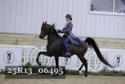 25R13_06495 thumbnail