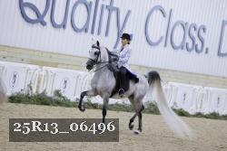 25R13_06496 thumbnail