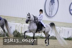 25R13_06497 thumbnail