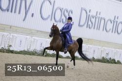 25R13_06500 thumbnail