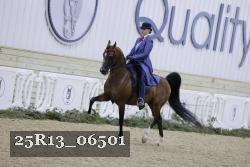 25R13_06501 thumbnail