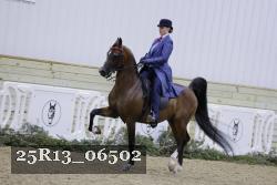 25R13_06502 thumbnail