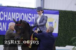 25R13_06503 thumbnail