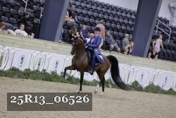 25R13_06526 thumbnail